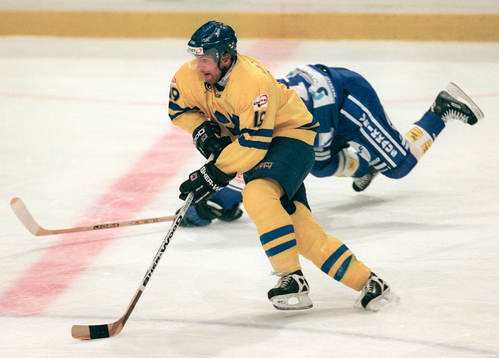Mikael Renberg, Sverige