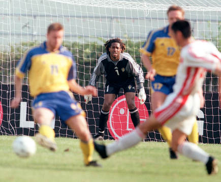 Eddie Gustafsson, Sverige