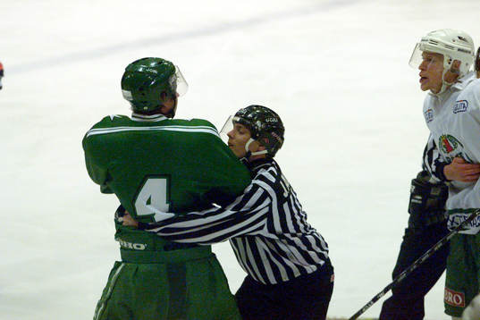 Johan Andersson, Linjeman (Domare) och Andreas Holmqvist,