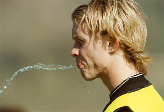 Fredrik Berglund, Elfsborg