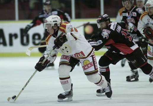 Johan Molin, Brynäs och Jan Hammar, Malmö