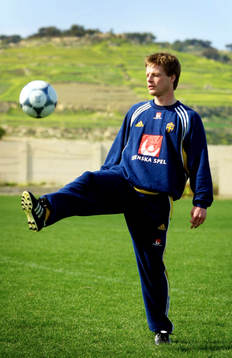 Stefan Schwarz, Sverige