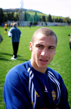 Henrik Larsson, Sverige