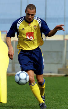 Henrik Larsson, Sverige