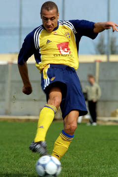 Henrik Larsson, Sverige