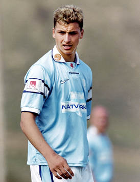 Zlatan Ibrahimovic, Malmö