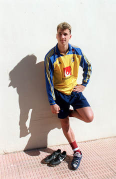Zlatan Ibrahimovic, Sverige