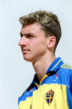Zlatan Ibrahimovic, Sverige