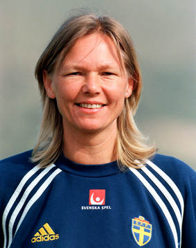 Anna Sinegul, Sverige, förbundskapten