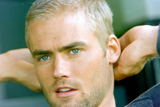 Olof Mellberg of Aston Villa