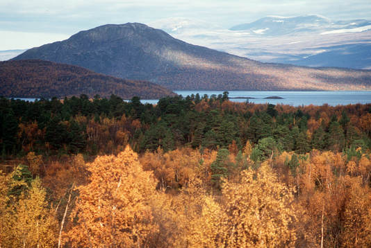 Berg, fjäll, fjällvärld, Lappland