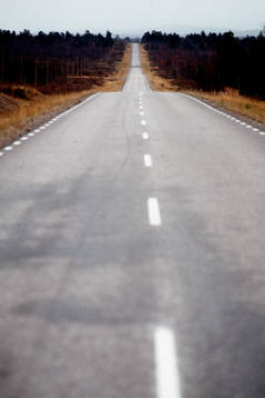 Fjällvärld, Lappland, väg