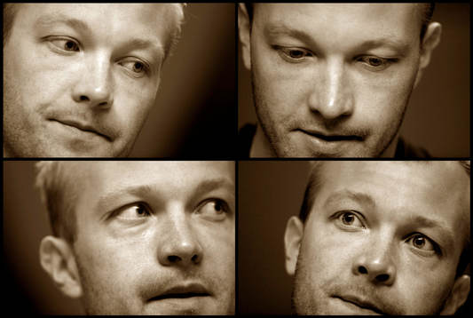 Magnus Hedman, Sverige