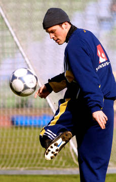 Fredrik Ljungberg, Sverige