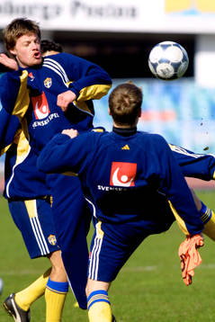 Stefan Schwarz och Karl Korneliusson, Sverige