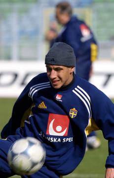 Henrik Larsson, Sverige