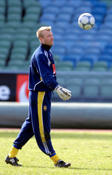 Magnus Hedman, Sverige