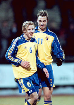 Zlatan Ibrahimovic och Pontus Farnerud, Sverige