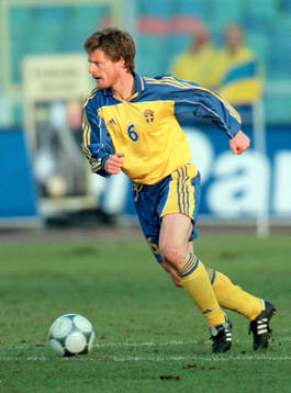 Stefan Schwarz, Sverige
