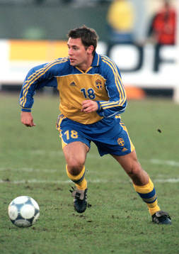 Stefan Selakovic, Sverige