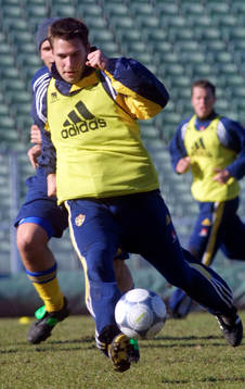 Stefan Selakovic, Sverige