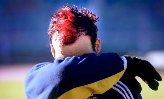 Fredrik Ljungberg, Sverige