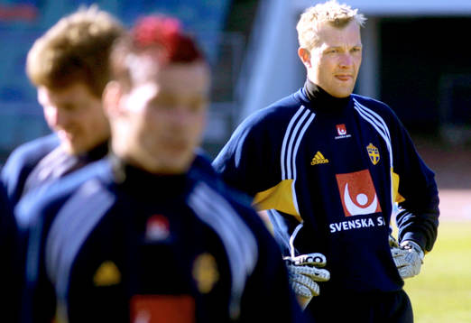 Magnus Hedman, Sverige