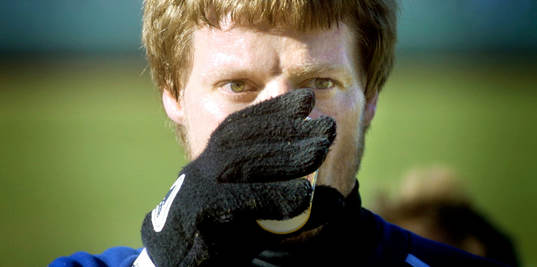 Stefan Schwarz, Sverige