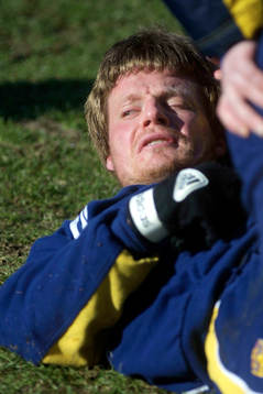 Stefan Schwarz, Sverige
