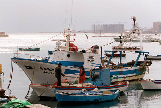 italien, Bari, fiskare