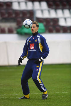 Zlatan Ibrahimovic, Sverige