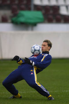 Zlatan Ibrahimovic, Sverige