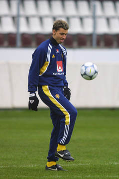 Zlatan Ibrahimovic, Sverige