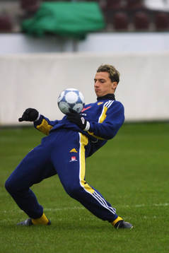 Zlatan Ibrahimovic, Sverige