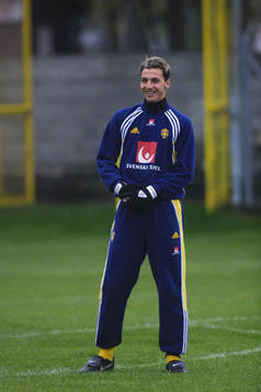 Zlatan Ibrahimovic, Sverige