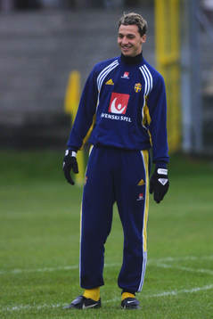 Zlatan Ibrahimovic, Sverige