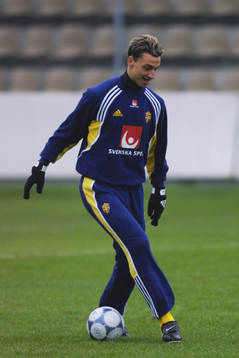Zlatan Ibrahimovic, Sverige