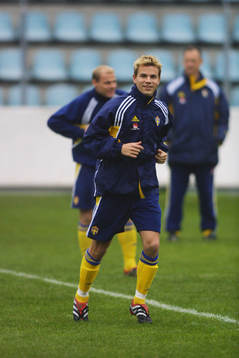 Niclas Alexandersson, Sverige