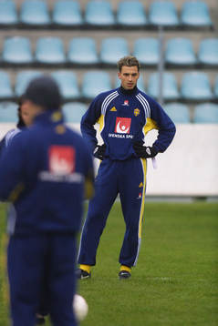 Zlatan Ibrahimovic, Sverige