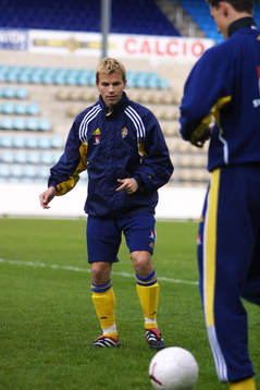Niclas Alexandersson, Sverige
