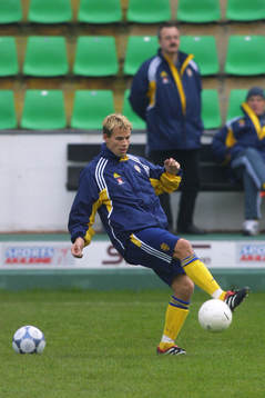 Niclas Alexandersson, Sverige