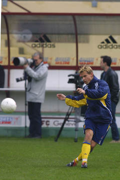 Niclas Alexandersson, Sverige