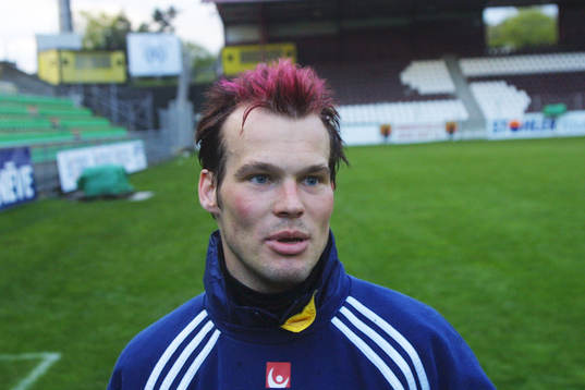 Fredrik Ljungberg, Sverige