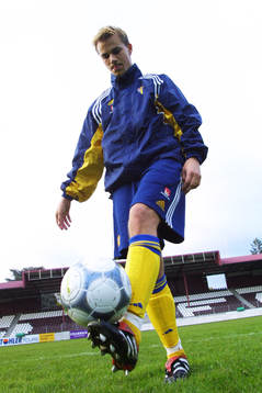 Niclas Alexandersson, Sverige