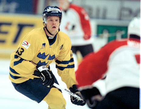 Fredrik Modin, Sverige