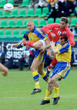 Olof Mellberg och Frerik Ljungberg, Sverige