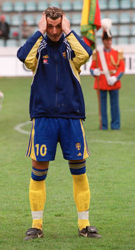 Zlatan Ibrahimovic, Sverige