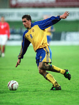 Johan Elmander, Sverige