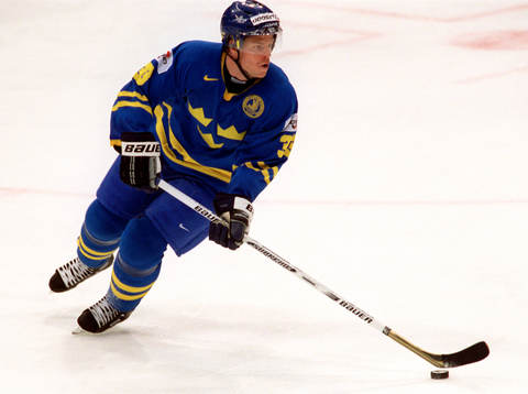 Ferdrik Modin, Sverige