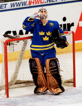 Tommy Salo, Sverige